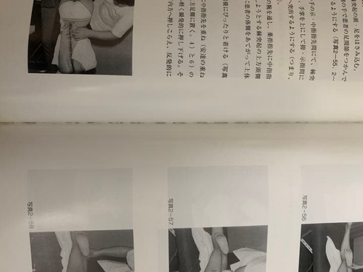 目でみる　手技療法の奥伝