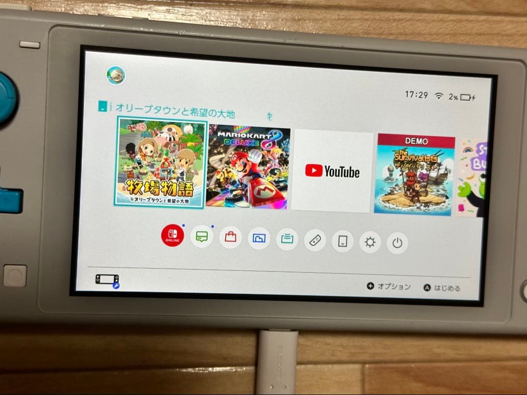 Nintendo Switch Lite グレー 本体のみ　付属品全てなし