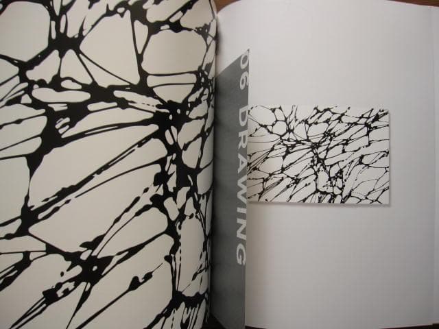 MORPHOSIS　KOHEI NAWA　名和晃平