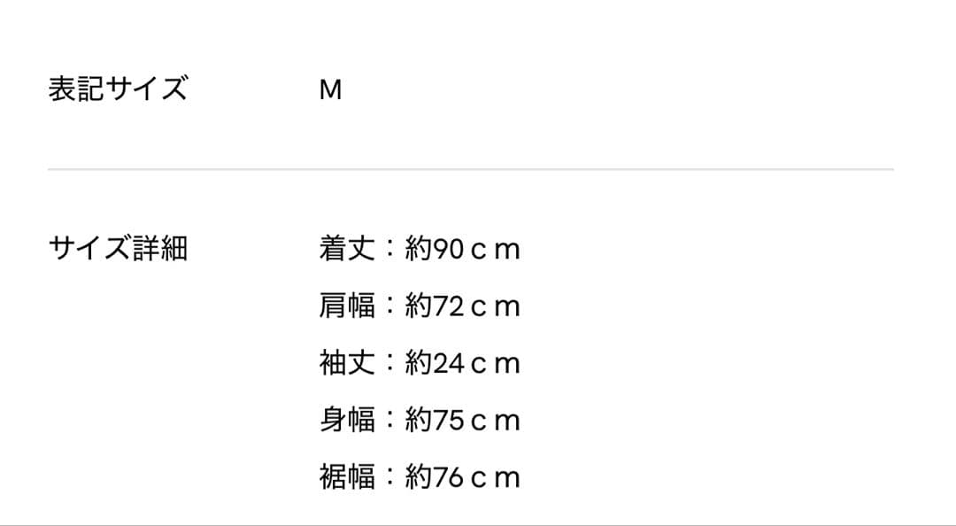 Vaquera ブラとショーツデザインTシャツ　9月28日までの出品