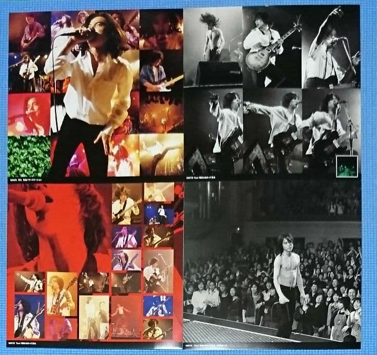 エレファントカシマシ 写真集 LIVE!! エレカシ 宮本浩次