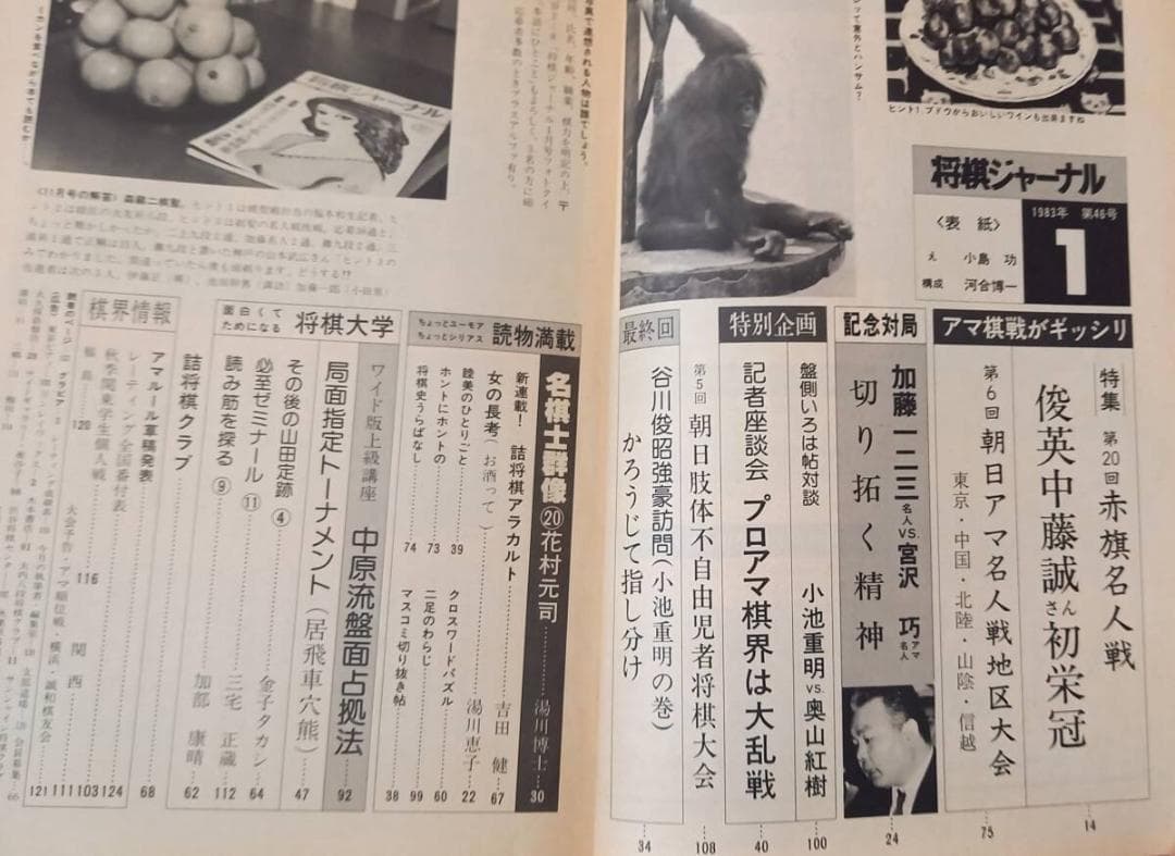 『将棋ジャーナル』 1983年 12冊揃