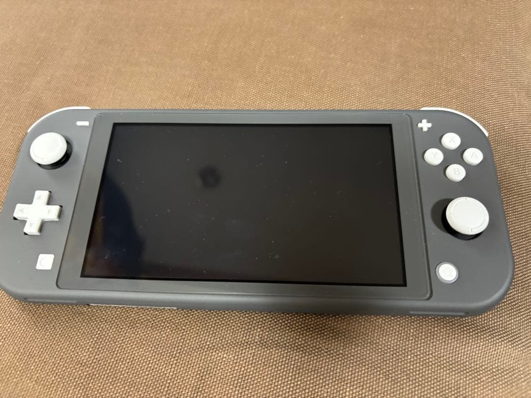 Nintendo Switch Lite グレー 本体+純正ケース付き