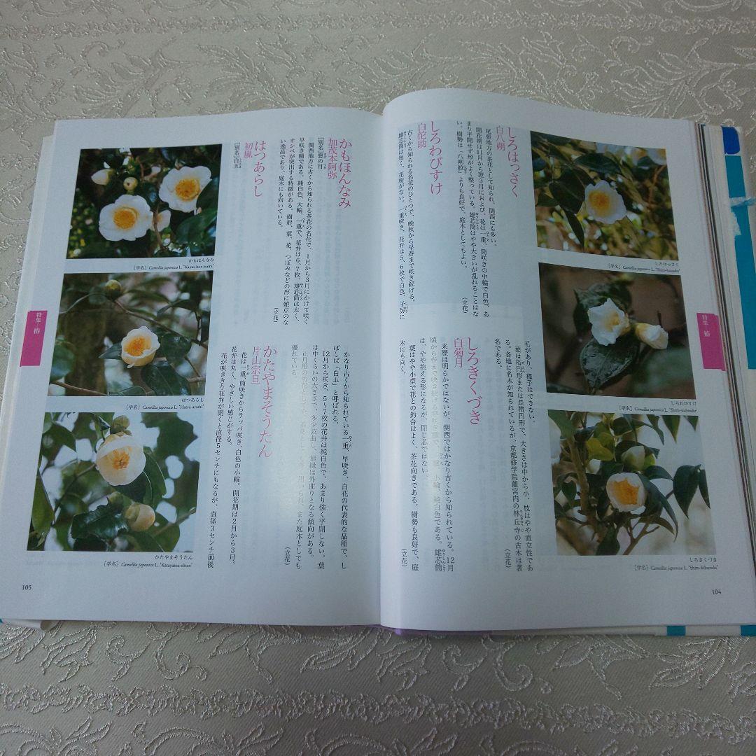 B 162 茶花大辞典 淡交社・ 1～6月