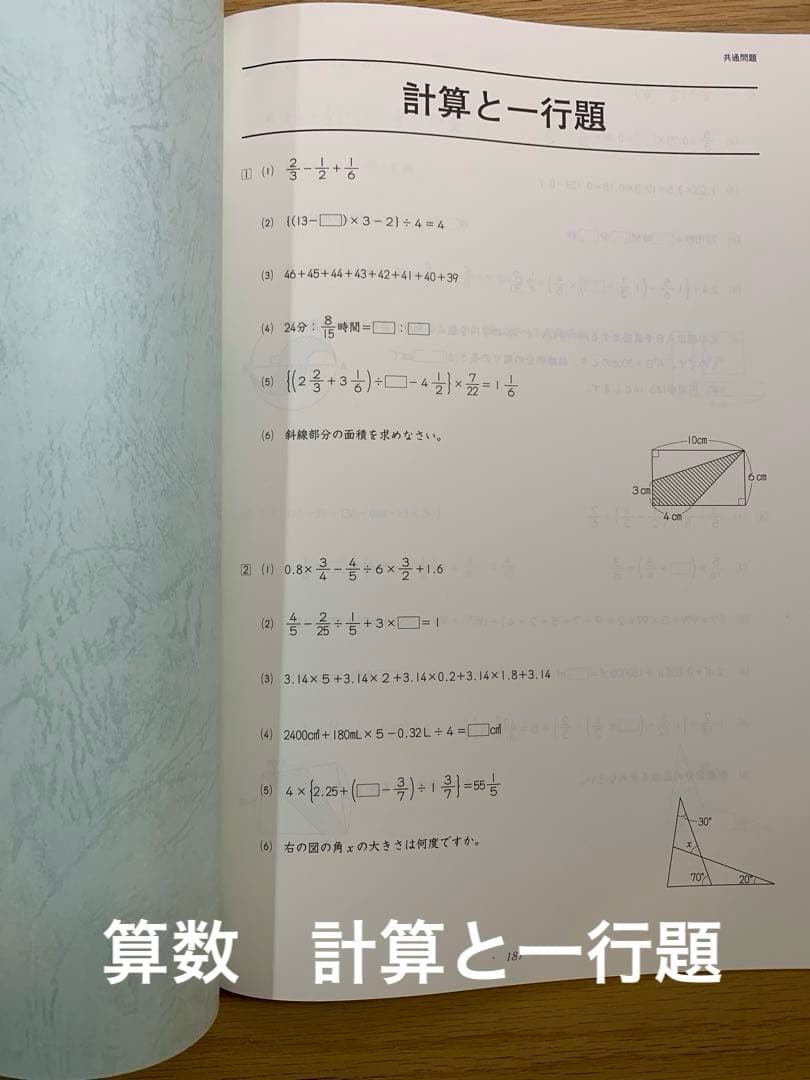 【美品】日能研 小6応用　夏期講習 国語/算数/理科/社会 2024