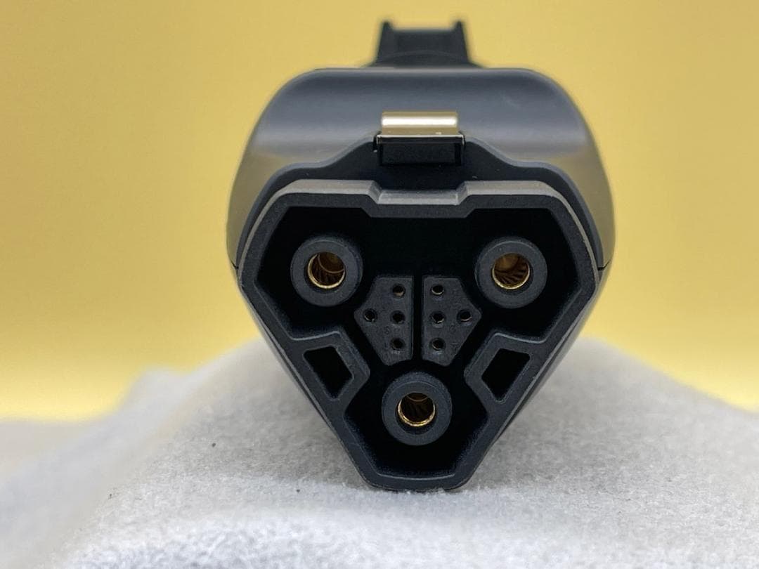 【美品】 EVアダプター DELTA Pro EV X-Stream