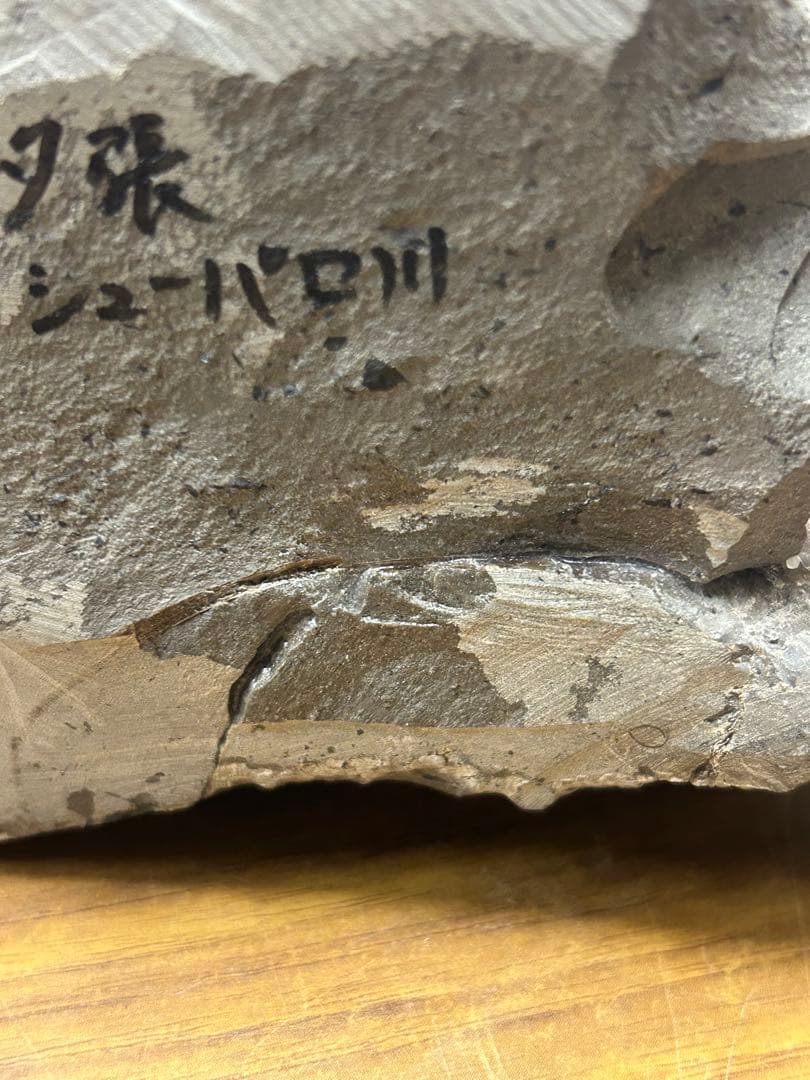 アンモナイト化石（夕張シューパロ川産・約1665g） 標本