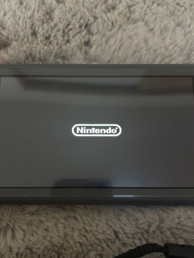 Switch Lite グレー 本体＋あつまれどうぶつの森カセット