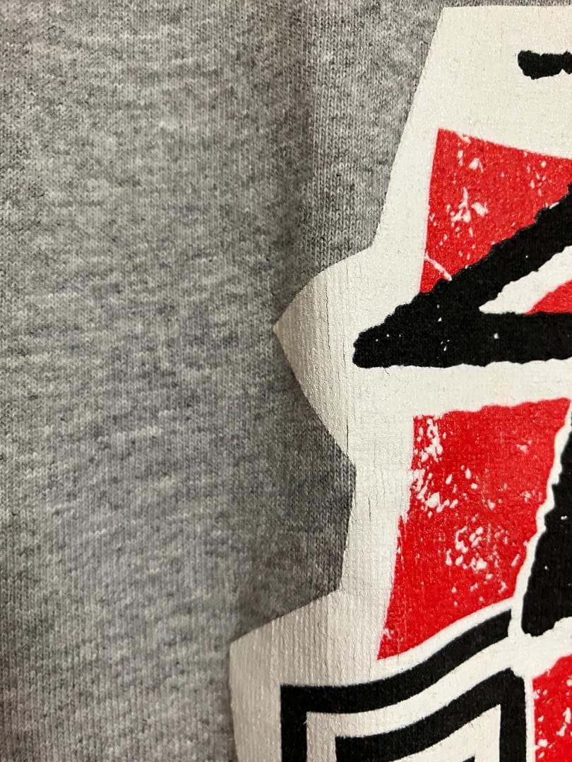 OLD　STUSSY　ラスタカラー　ラスタライオン　プリント　Tシャツ　00ｓ