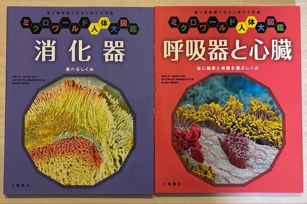 【美品】ミクロワールド人体大図鑑 全7巻