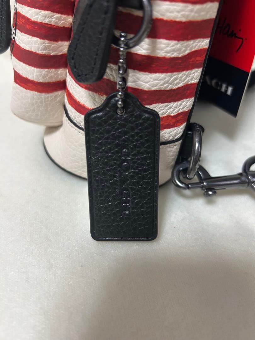 ＊新品・タグ付き＊COACH ミッキー×キースヘリングクロスボディー