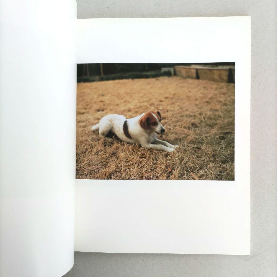 希少】Horses and Dogs:William Eggleston/写真希