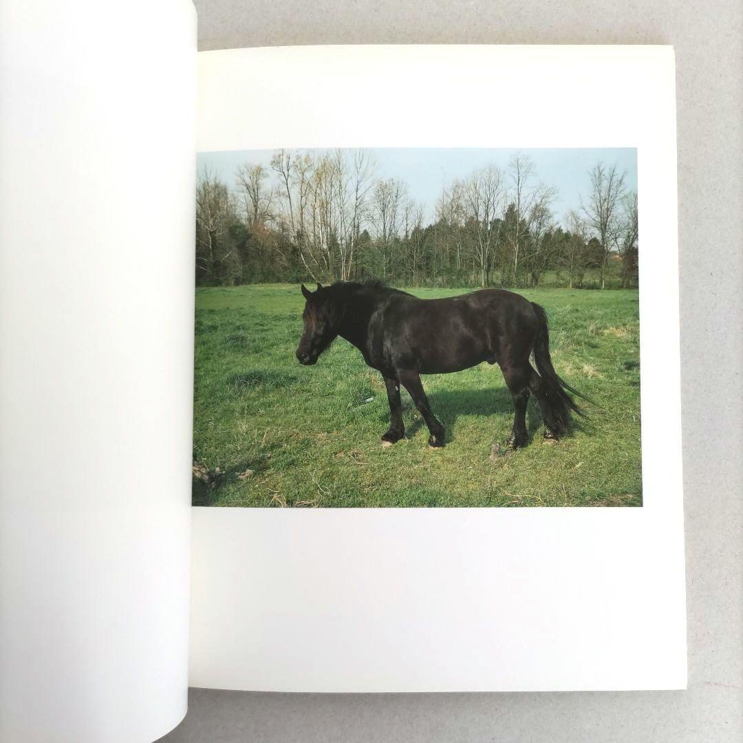 希少】Horses and Dogs:William Eggleston/写真希