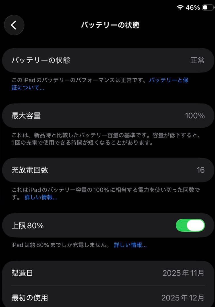 Lucy　Apple iPad A16 シルバー 128GB