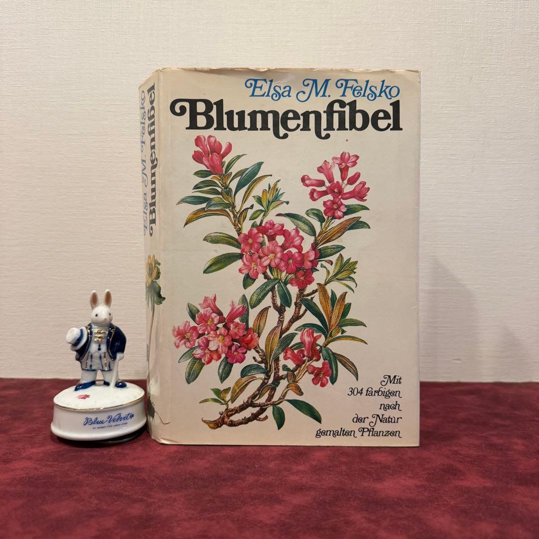 314③1980年ドイツElsa Flesko植物図鑑植物画　ジャンクジャーナル