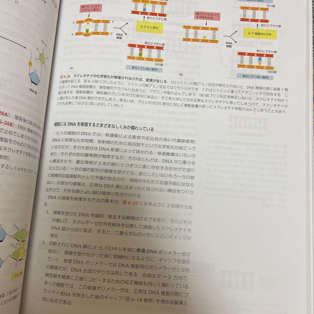 Essential 細胞生物学　原書第5版