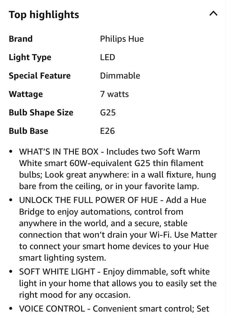 philips hue 電球　2個セット