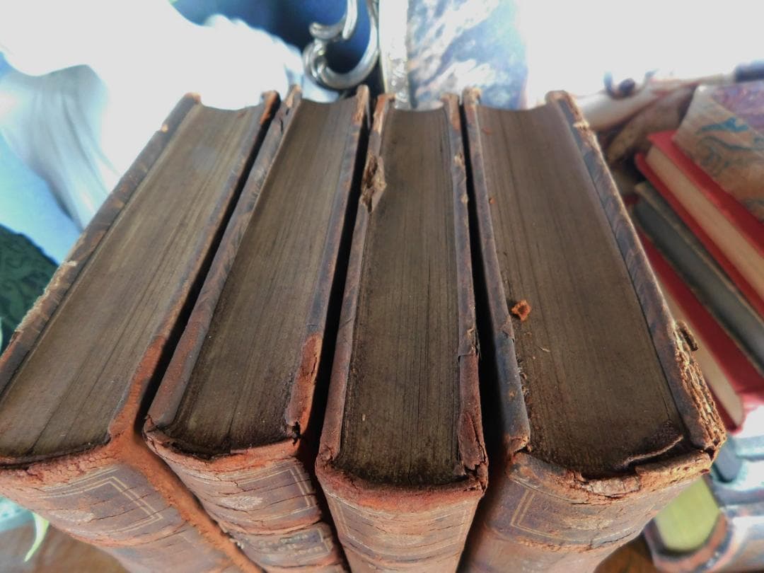 4冊セット.:*゜背表紙が素敵なドイツの古書　20世紀　ディスプレイ　まとめ売り