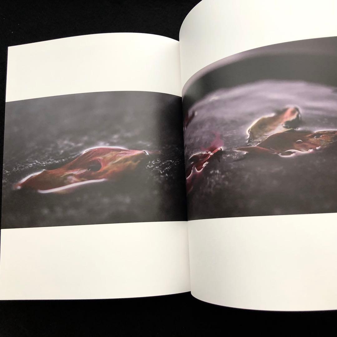 袴田尚弥 作品集「FOOD ART Moment of beauty」DAG