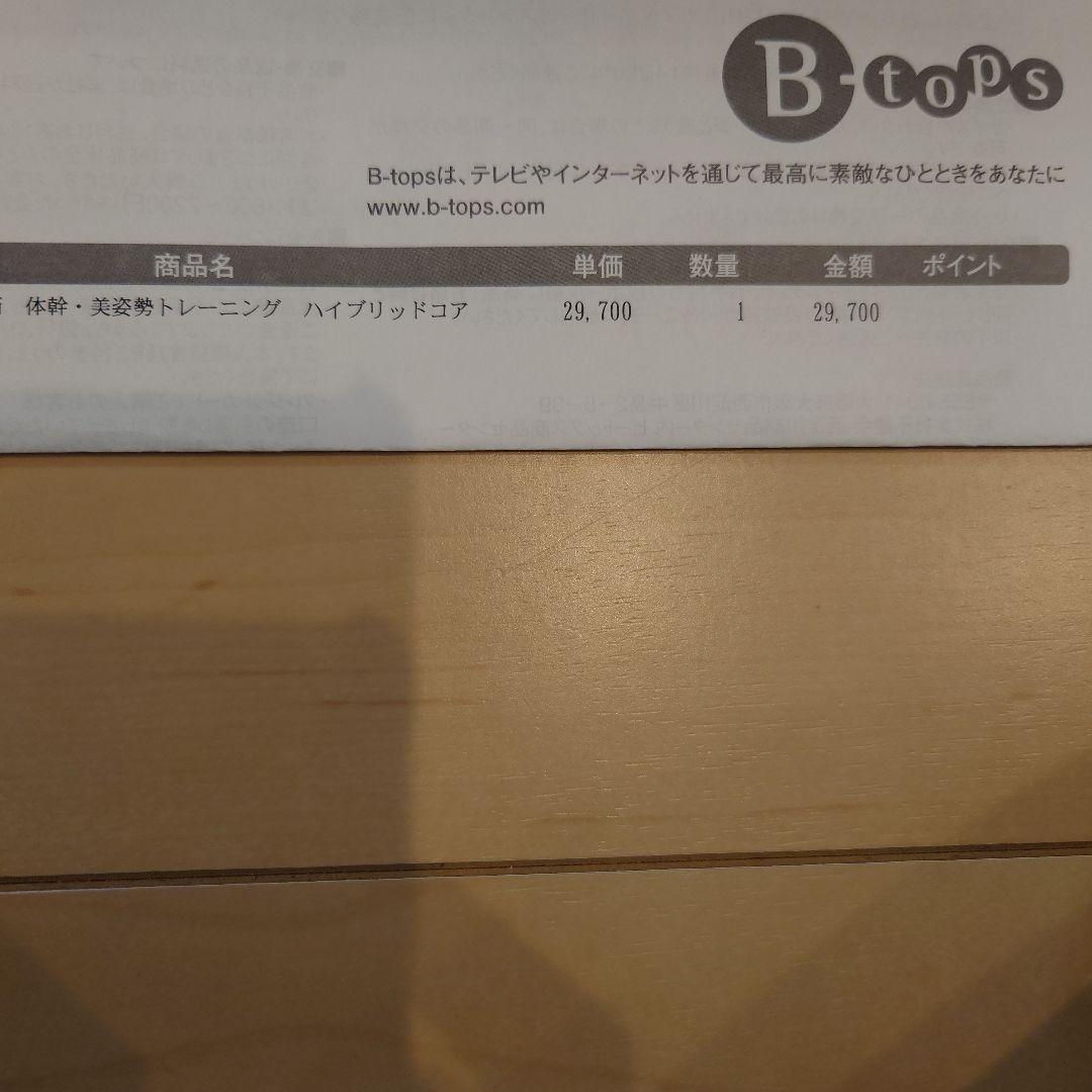 ★WELLSPo Hybrid Core HC-BB30 美品