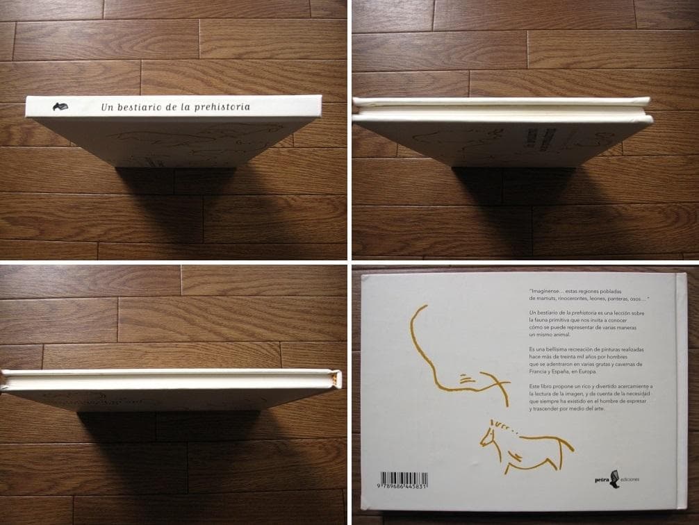Un bestiario de la prehistoria　ペトログリフ