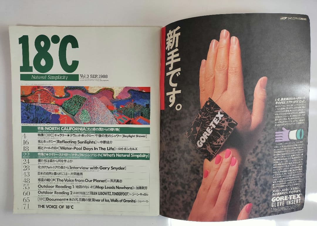 18℃ vol.3 1988.9 デヴィット・ホックニー 36年前