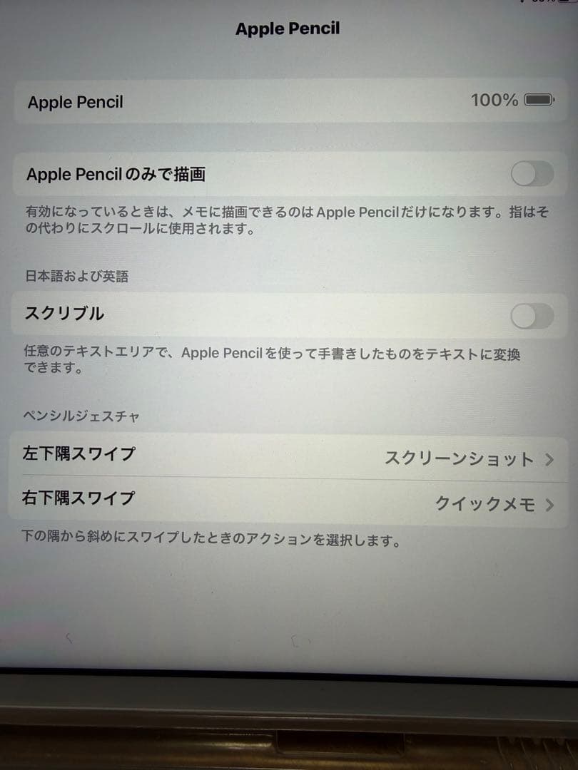 iPad pencil 第1世代　アダプタ付き