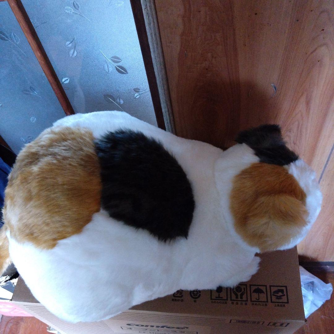 cuddly ぬいぐるみ マリア　りらっくす
