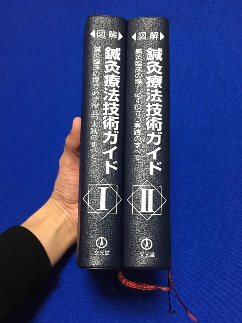 【2冊セット・良品】図解 鍼灸療法技術ガイドⅠ・Ⅱ／文光堂／東洋医学 臨床