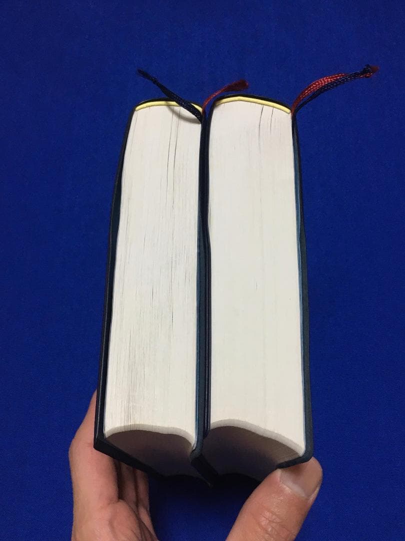 【2冊セット・良品】図解 鍼灸療法技術ガイドⅠ・Ⅱ／文光堂／東洋医学 臨床
