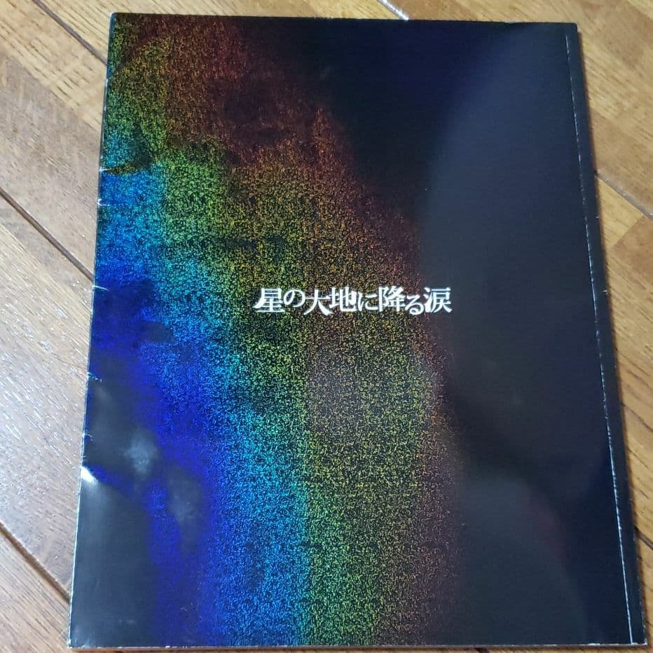 【三浦春馬】星の大地に降る涙  DVD &パンフレット