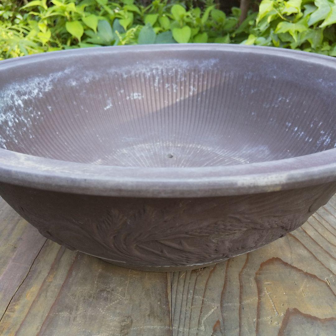 盆栽鉢 大品 12号 松柏類 無釉 泥鉢 泥物 外縁 丸 陣笠 彫入 雲龍文