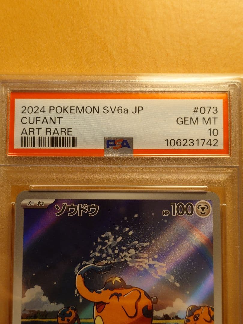 ゾウドウAR PSA10