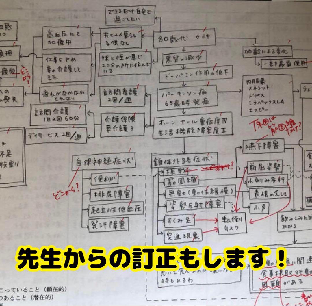 3点セット　看護過程、関連図・アセスメント看護実習　看護師　国家試験