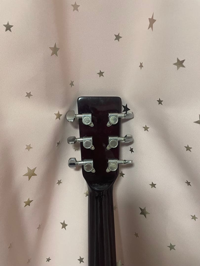Lumber アコースティックギター LDG10NA