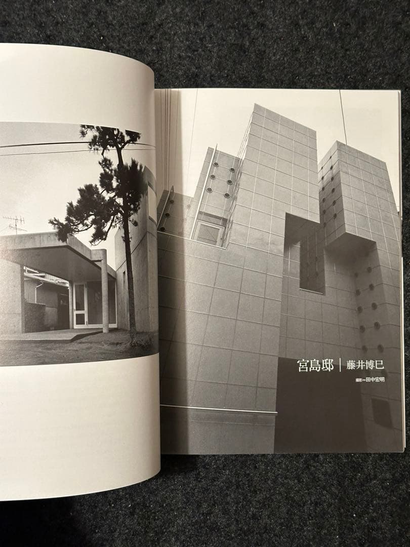 【希少/美品】 住宅70年代・狂い咲き