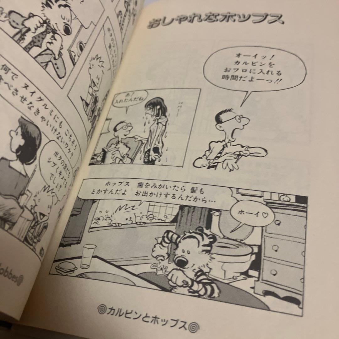 カルビンとホッブス : American kids comedy 2
