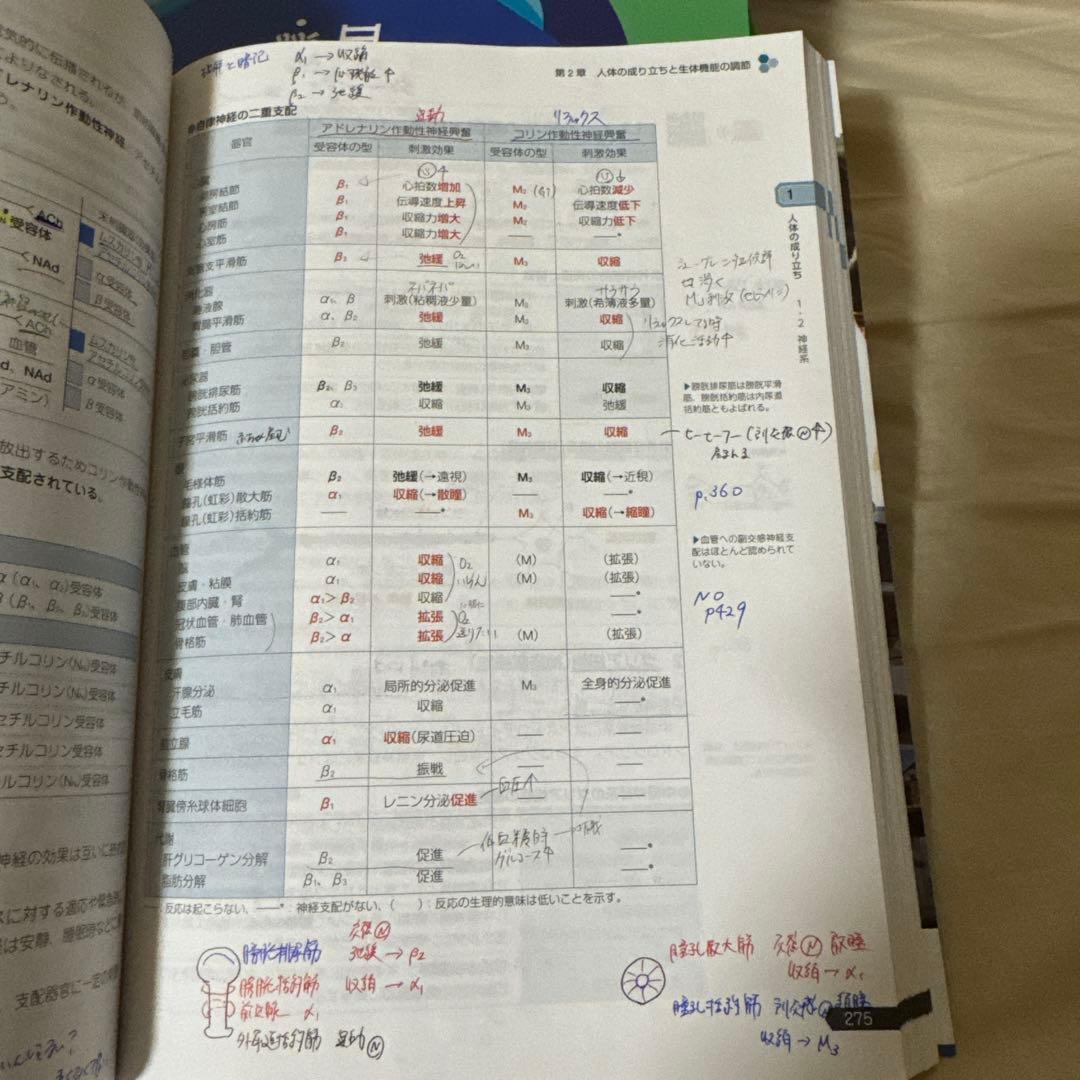 【3/18まで】第111回薬剤師国家試験対策参考書改定第15版 青本 9冊セット