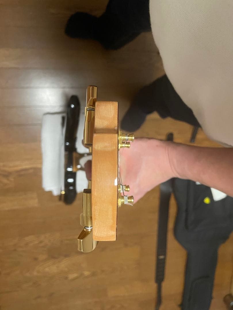 フェルナンデス　MG100x hide ギター モッキンバード値下げ　おまけ付