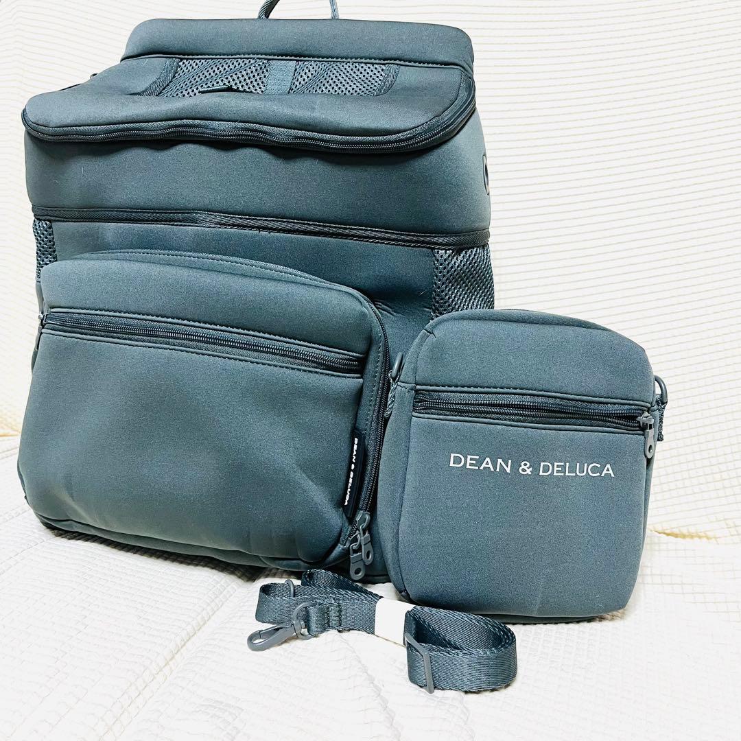 DEAN & DELUCA＆CITYDOG キャリーグレーバッグ M