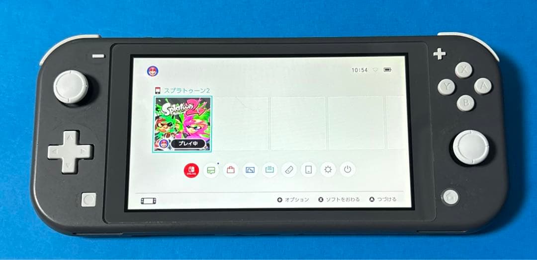 Nintendo Switch Lite グレー本体 【動作確認済】