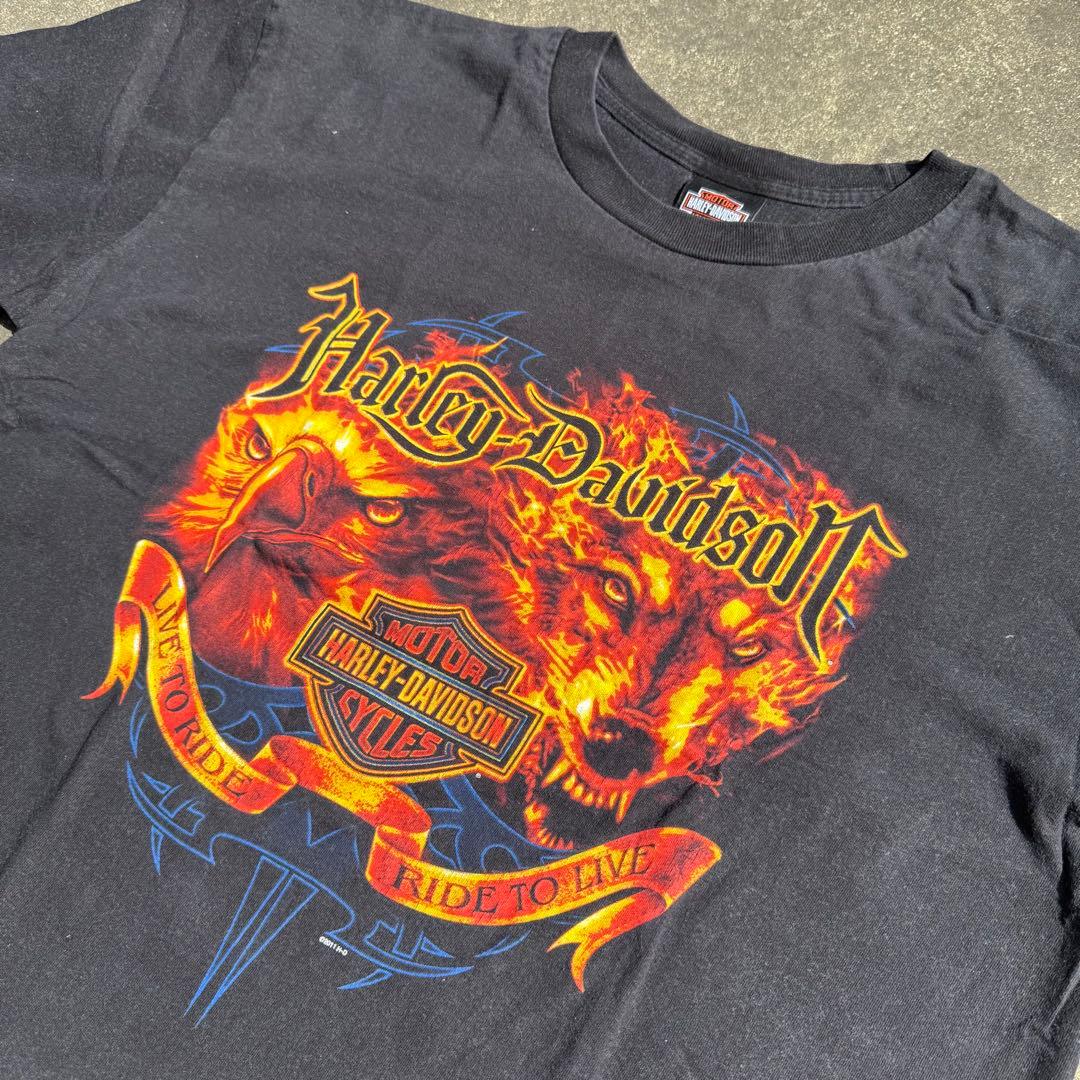 m.n　ハーレーダビッドソン 両面ビッグロゴ Tシャツ 炎 狼 鷹XL