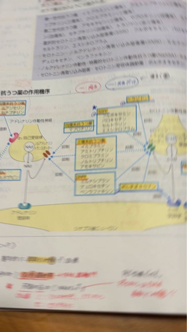 111回薬剤師国家試験青本・青問全9巻セット