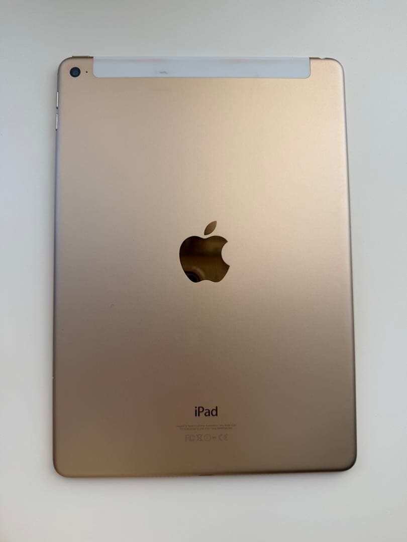 iPad本体 iPad Air2