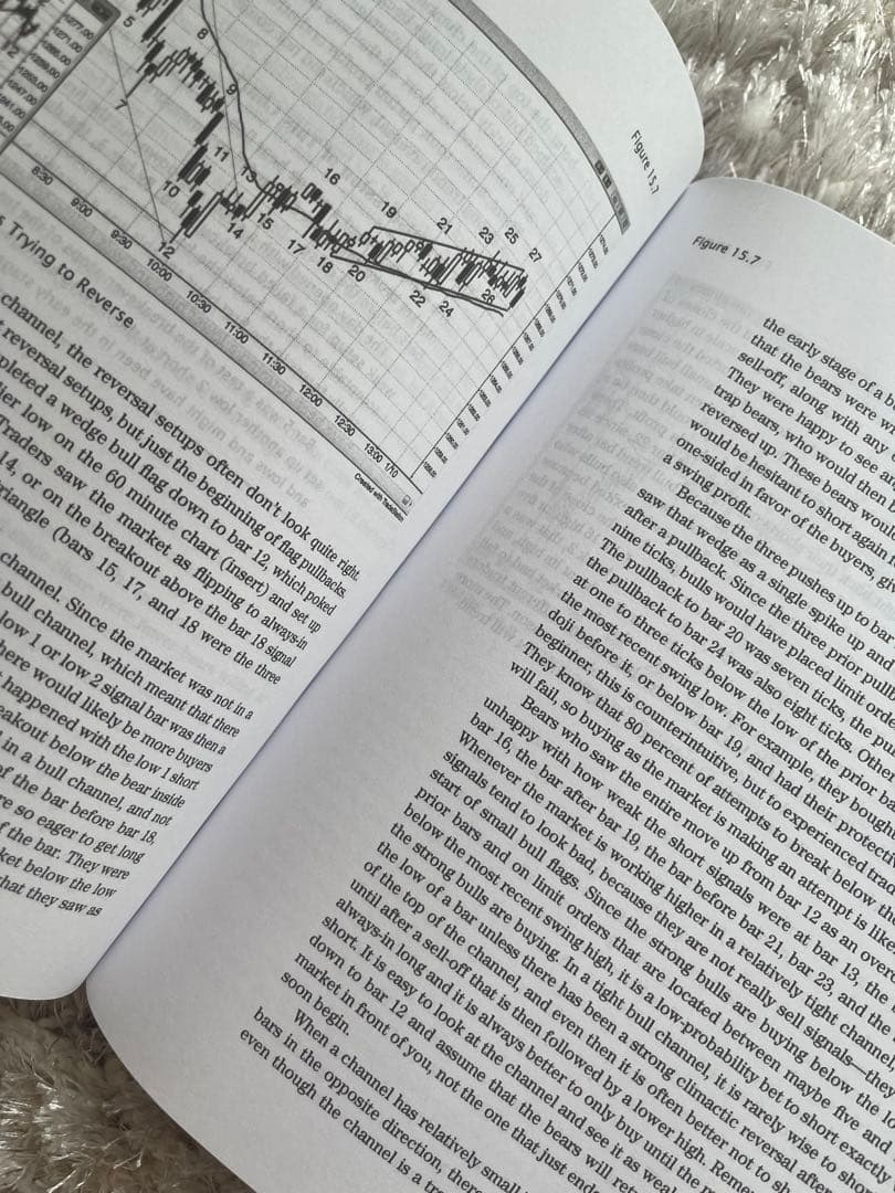 洋書 Al Brooks Trading Price Action Trends