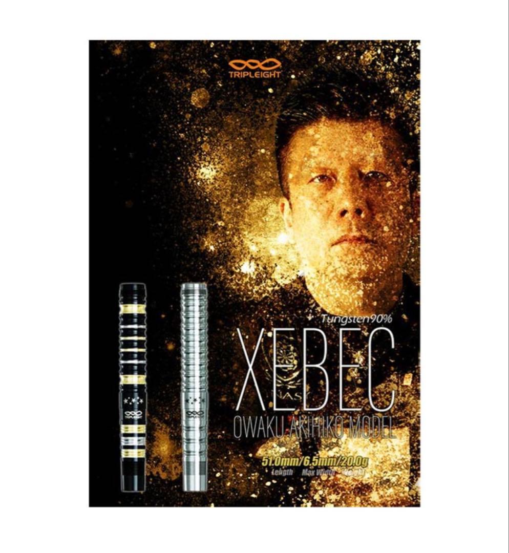 TRIPLEIGHT 大和久明彦選手モデル　ダーツセット 20g