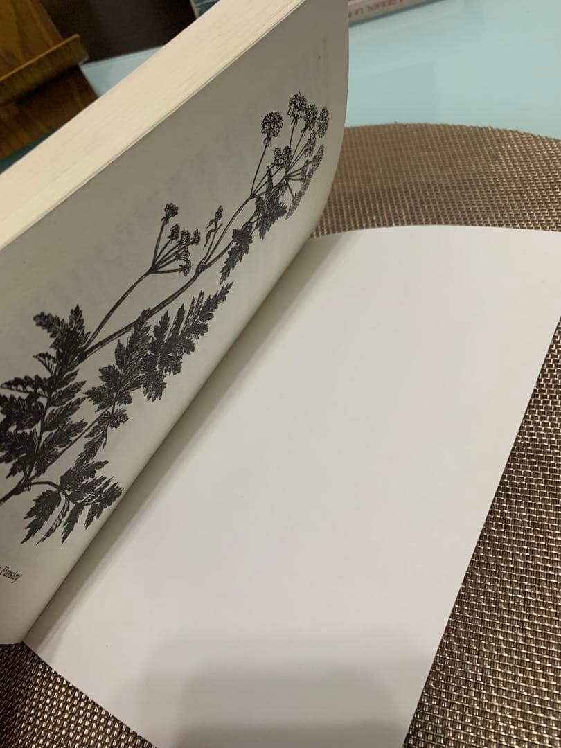 洋書 Traditional Scottish Dyes Jean Fraser