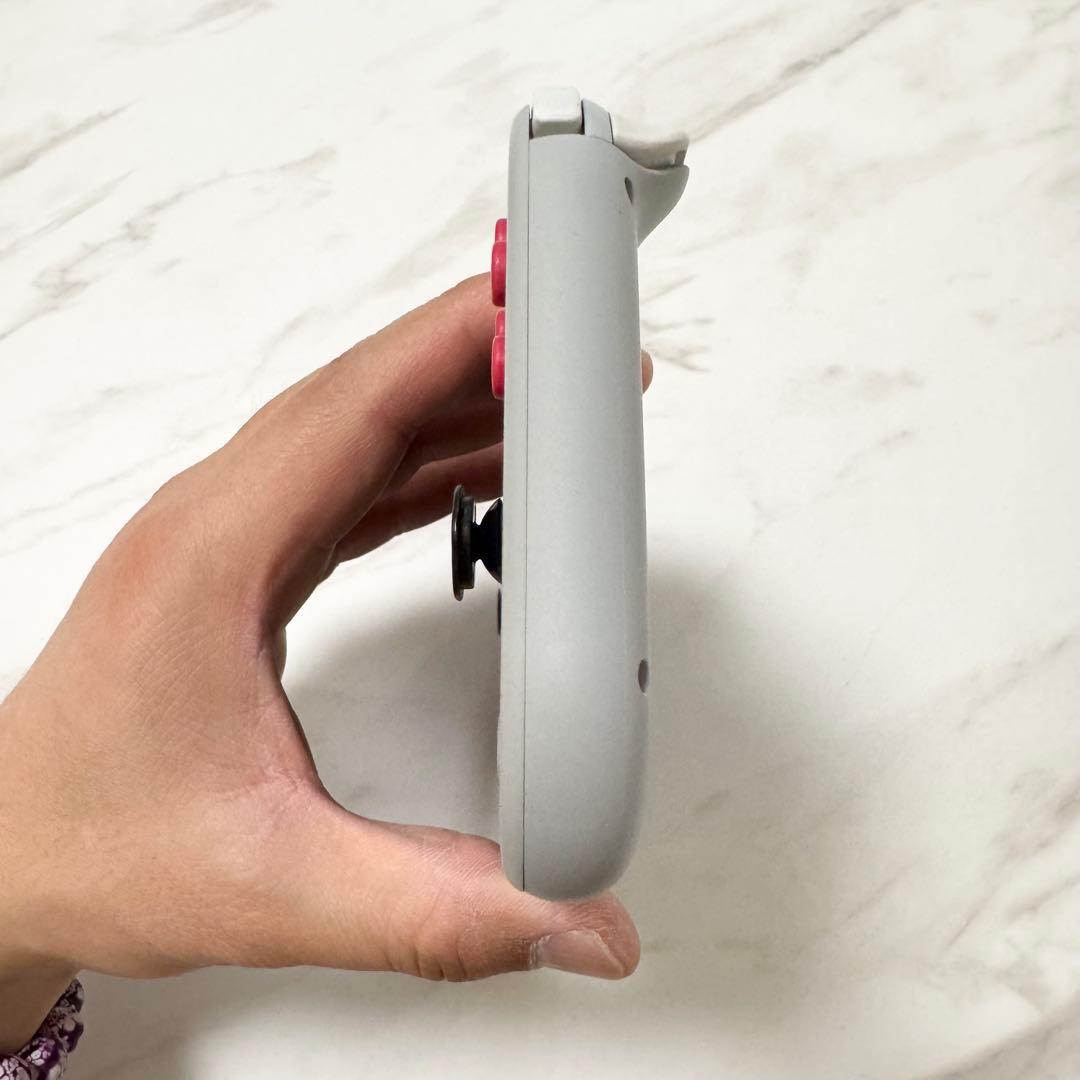 【動作確認済み】Nintendo Switch Lite ザシアンザマゼンタ