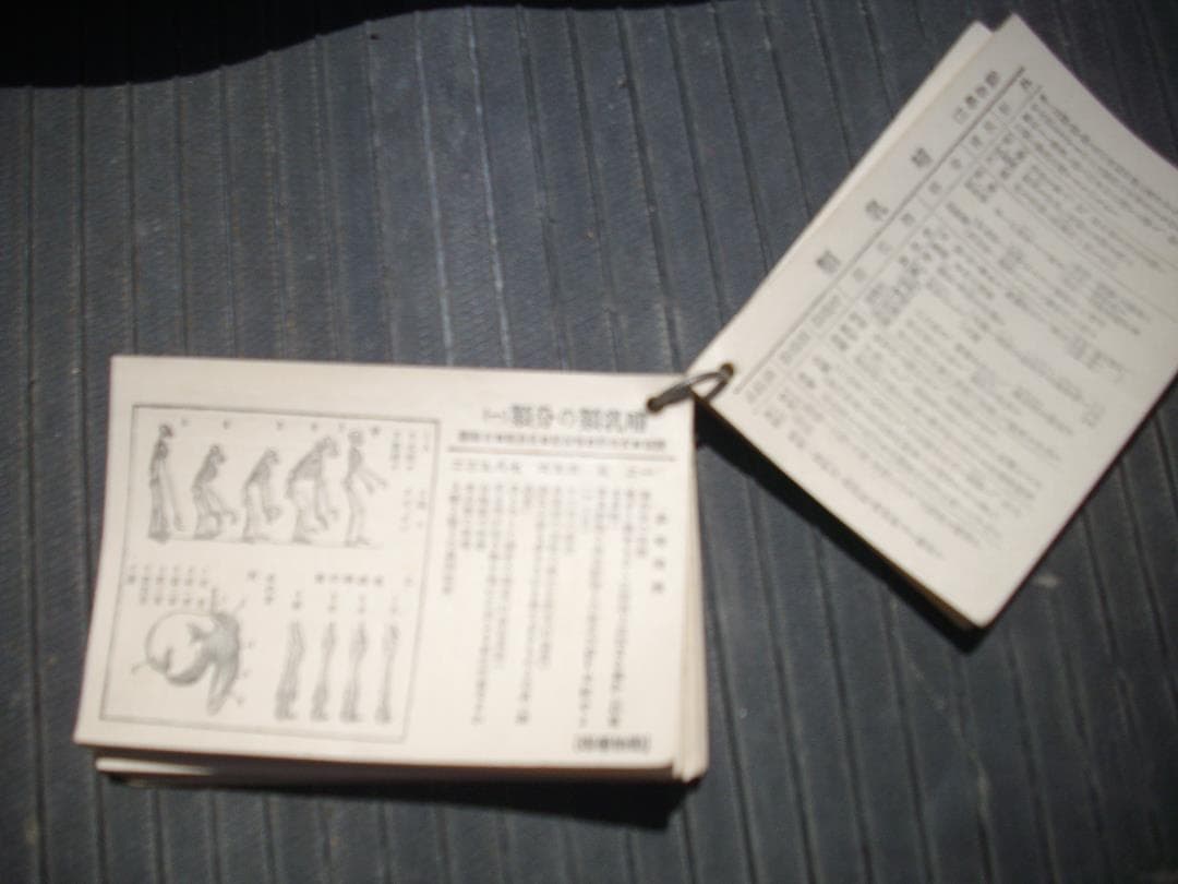 カード式　新参考書　動物学　研究社発行