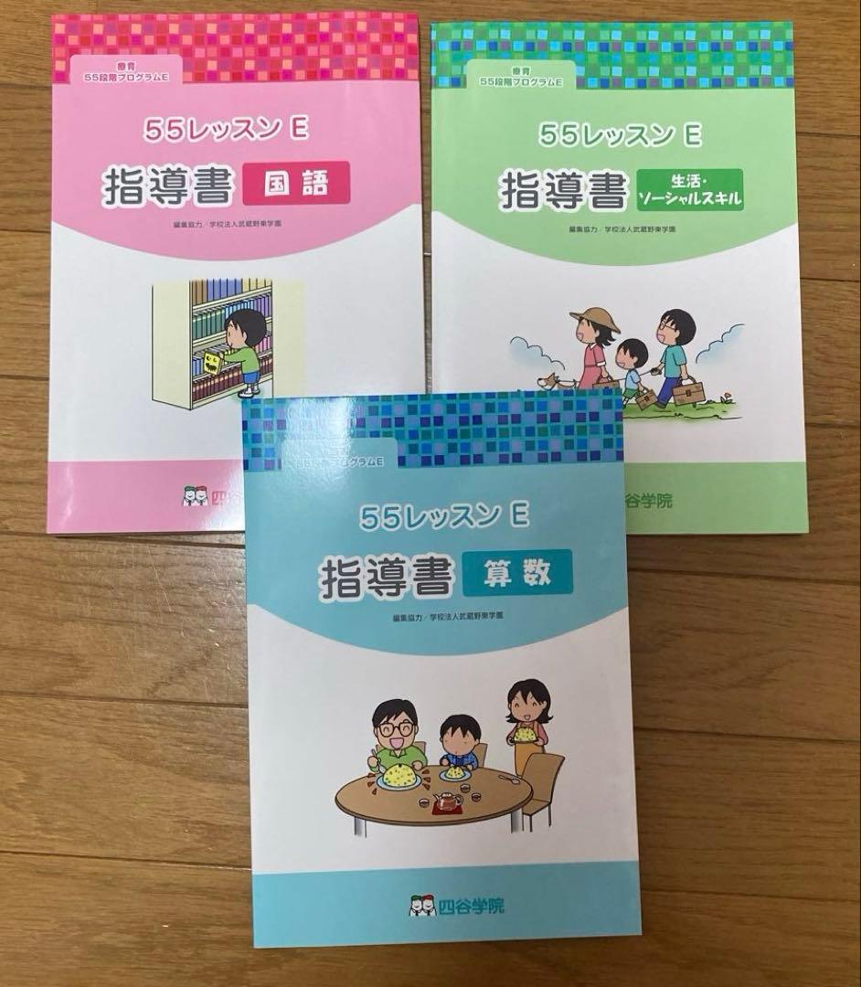 四谷学院療育55段階プログラムE段階（小2相当）